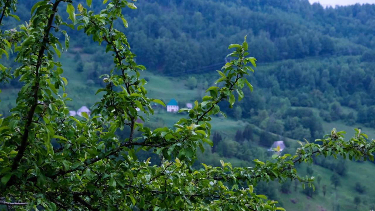 Fern Farm Eco Resort Мойковац Экстерьер фото